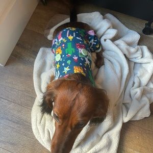 XS Dog Christmas Pajamas